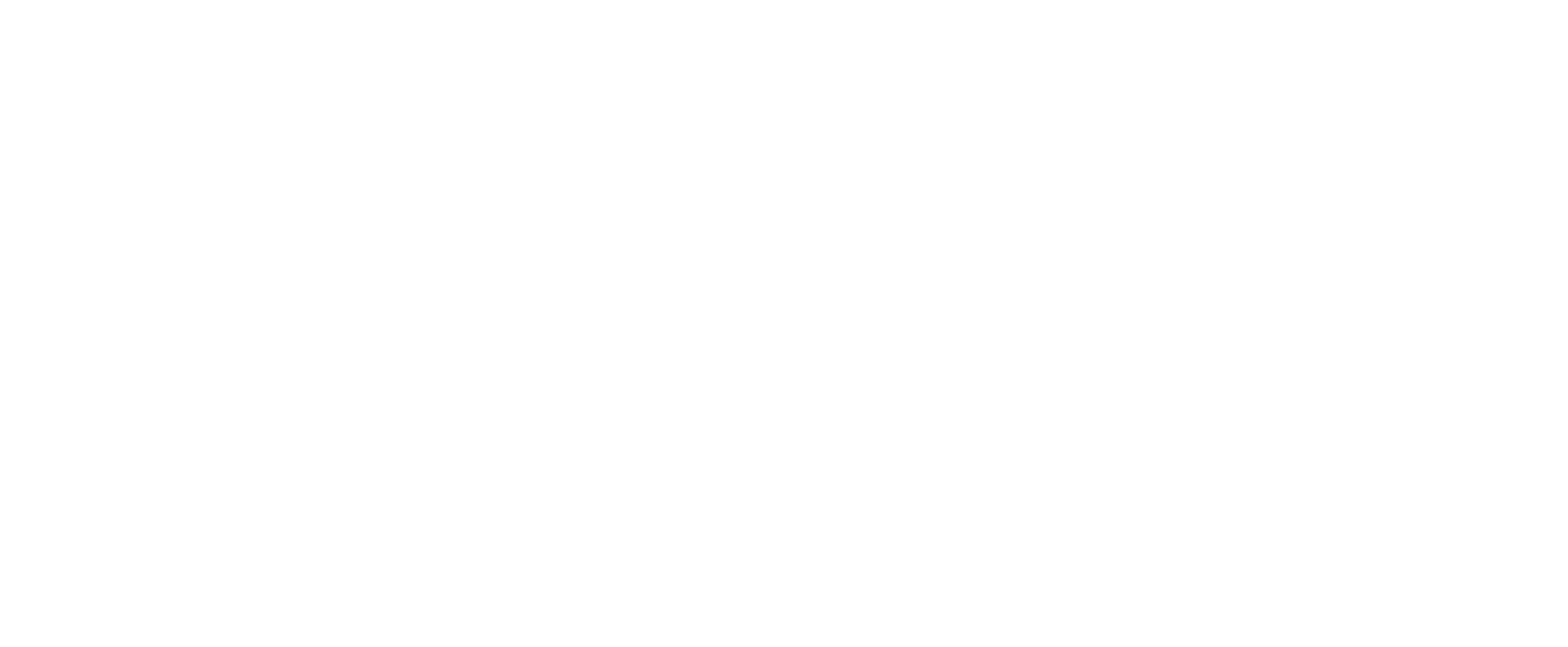 Fiscala Financial Consultants (Pty) Ltd
